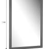 Зеркало настенное BeautyStyle 11 серый графит 118 см х 60,6 см