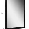Зеркало настенное BeautyStyle 11 черный 118 см х 60,6 см