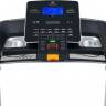 Беговая дорожка Titanium Masters Physiotech TLF Беговая дорожка Titanium Masters Physiotech TLF